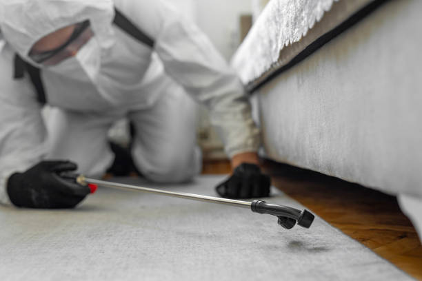 Professional Termite Control technician working in Watergate, FL